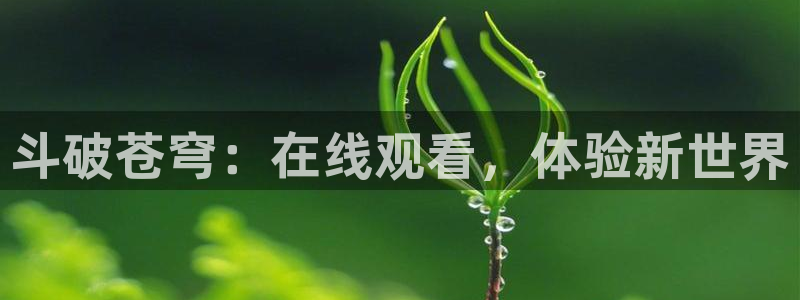age动漫下载入口：斗破苍穹：在线观看，体验新世界