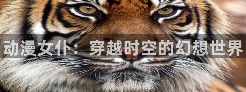 在线动画动漫下载age动漫：动漫女仆：穿越时空的幻想世界