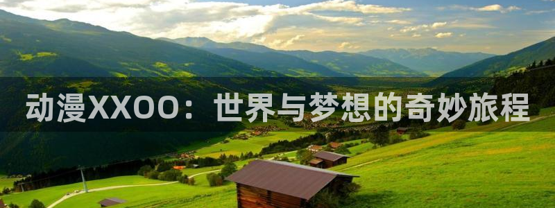 age动漫网：动漫XXOO：世界与梦想的奇妙旅程