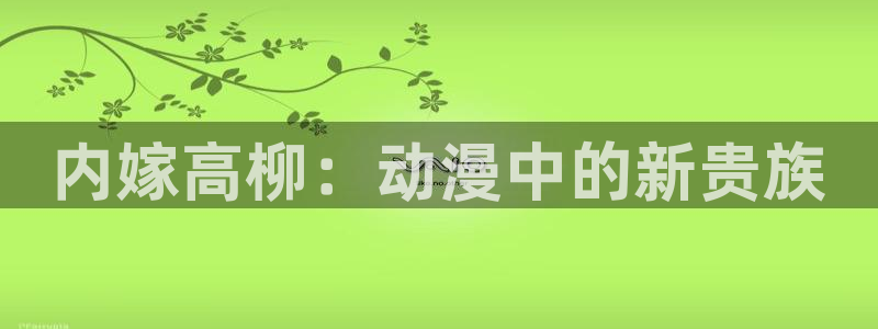 在线动画动漫下载age动漫：内嫁高柳：动漫中的新贵族