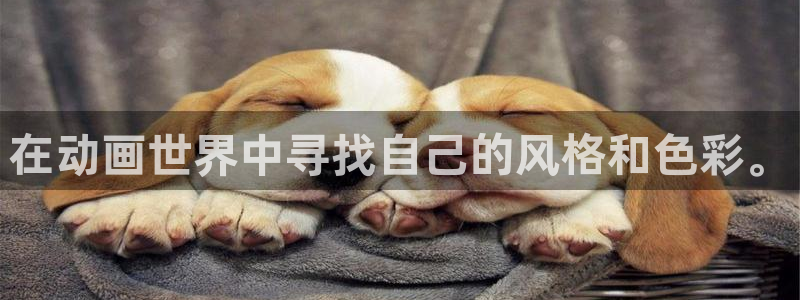 age动漫官网在线入口：在动画世界中寻找自己的风格和色彩。