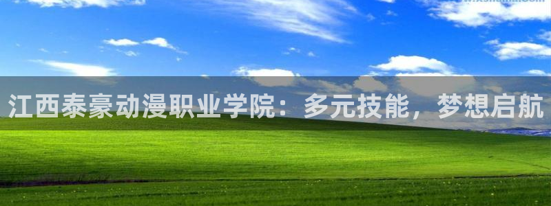 age动漫官网在线入口：江西泰豪动漫职业学院：多元技能，梦想启航