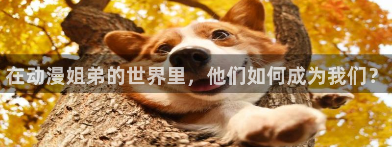 age动漫：在动漫姐弟的世界里，他们如何成为我们？