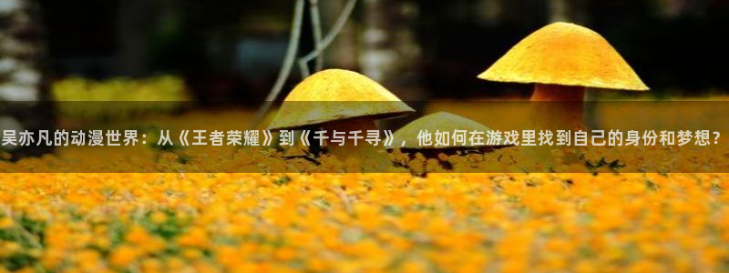 在线动画动漫下载age动漫：吴亦凡的动漫世界：从《王者荣耀》到《千与千寻》，他如何在游戏里找到自己的身份和梦想？