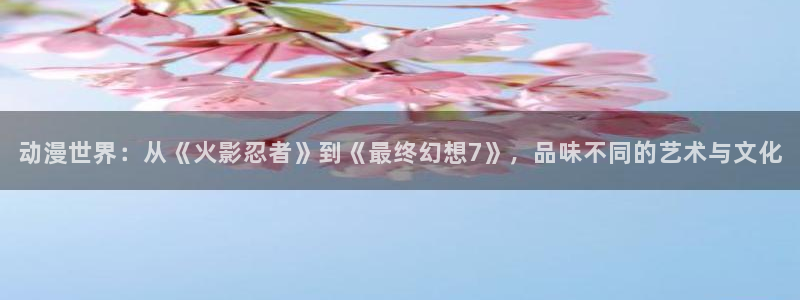 age动漫网下载：动漫世界：从《火影忍者》到《最终幻想7》，品味不同的艺术与文化