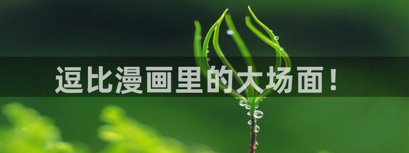 age动漫：逗比漫画里的大场面！