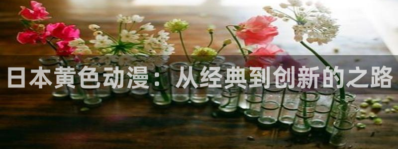 在线动画动漫下载age动漫：日本黄色动漫：从经典到创新的之路