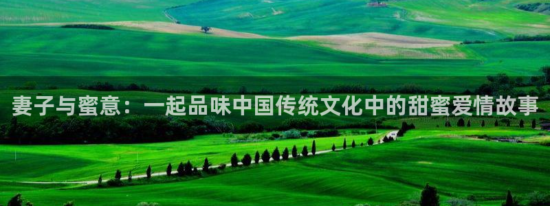 age动漫网官网入口：妻子与蜜意：一起品味中国传统文化中的甜蜜爱情故事