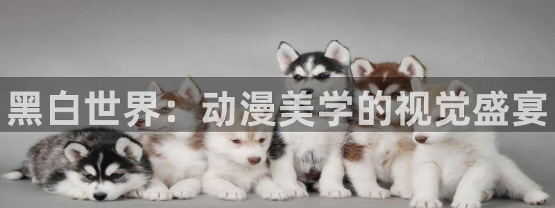 拷贝漫画 copymanager.ory网站：黑白世界：动漫美学的视觉盛宴