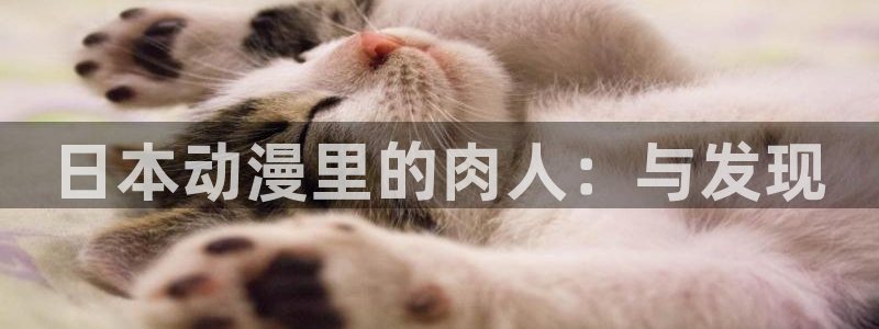 age漫画网：日本动漫里的肉人：与发现