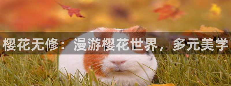 age动漫官网樱花动漫：樱花无修：漫游樱花世界，多元美学