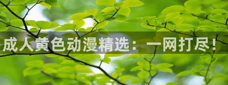 colomanage漫画官网：成人黄色动漫精选：一网打尽！