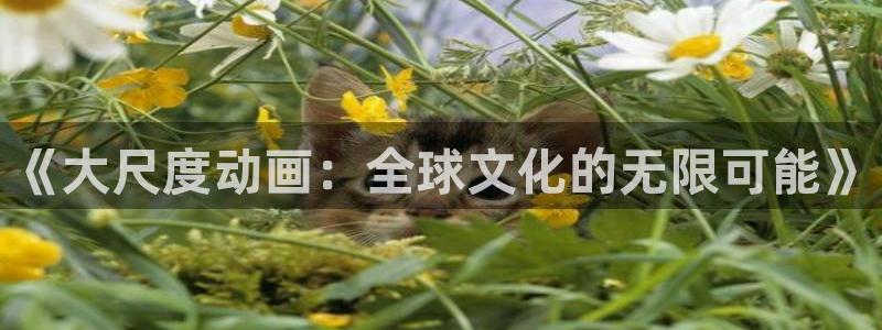 age漫画网：《大尺度动画：全球文化的无限可能》