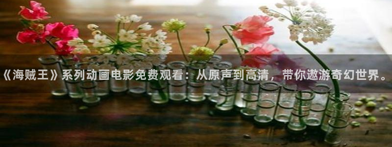 age动漫网下载：《海贼王》系列动画电影免费观看：从原声到高清，带你遨游奇幻世界。