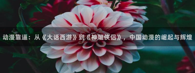 managereader漫画官网入口：动漫靠逼：从《大话西游》到《神雕侠侣》，中国动漫的崛起与辉煌