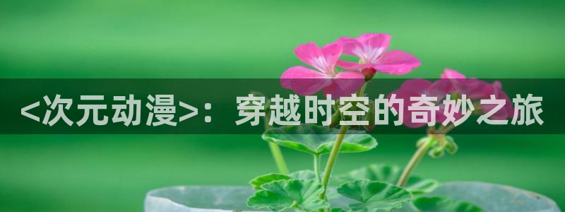 age动漫官网在线入口：<次元动漫>：穿越时空的奇妙之旅