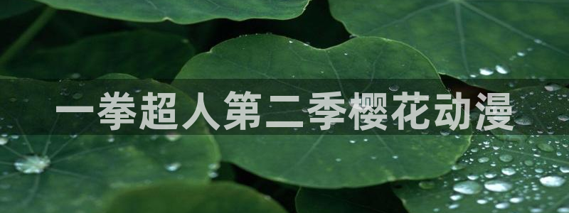 age樱花动漫：一拳超人第二季樱花动漫
